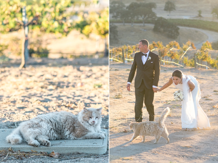 rio seco wedding
