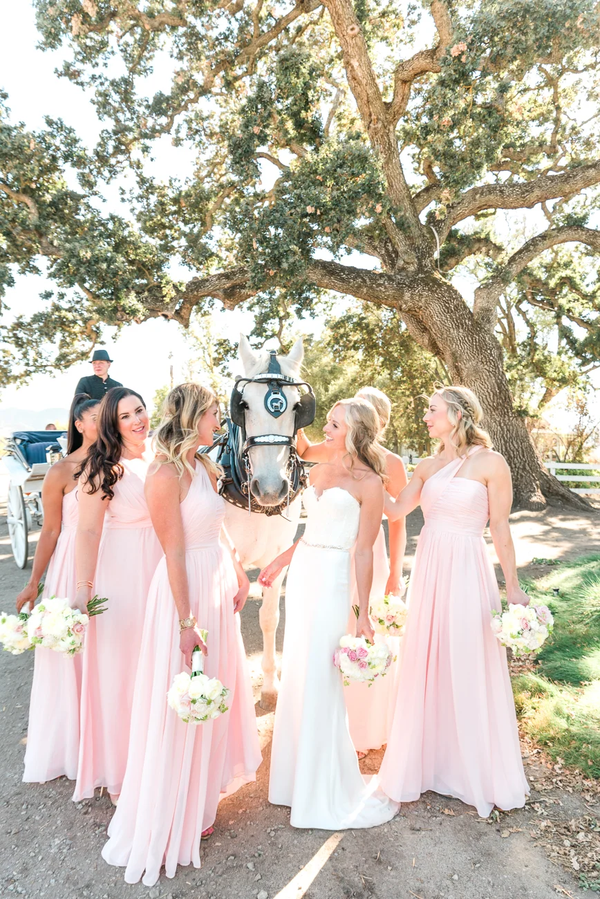 AlyssaPolandPhotography_7-2.jpg