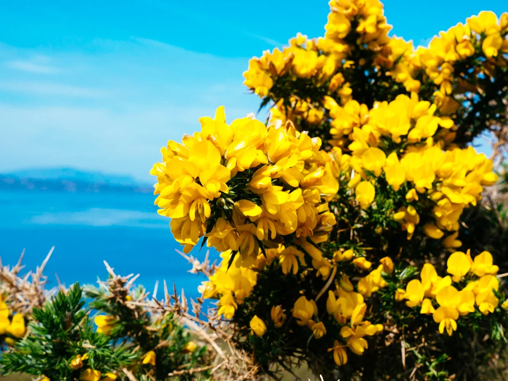 Scotland-59.jpg