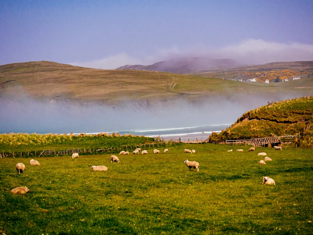 Scotland-151.jpg