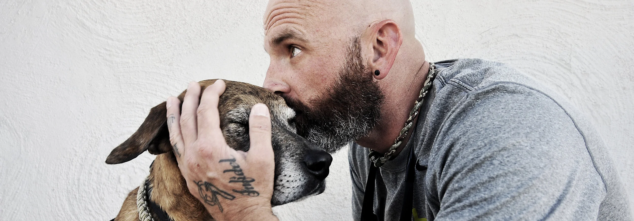 Dogs of War - Custom Redtail