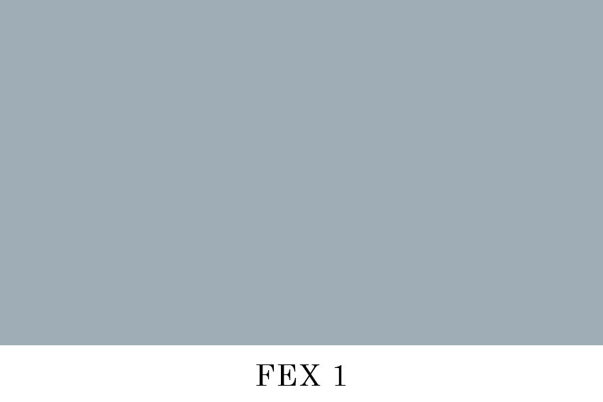 FEX 1.jpg