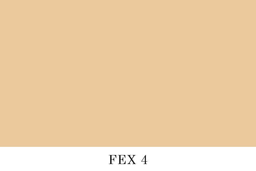 FEX 4.jpg