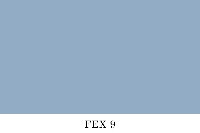 FEX 9.jpg