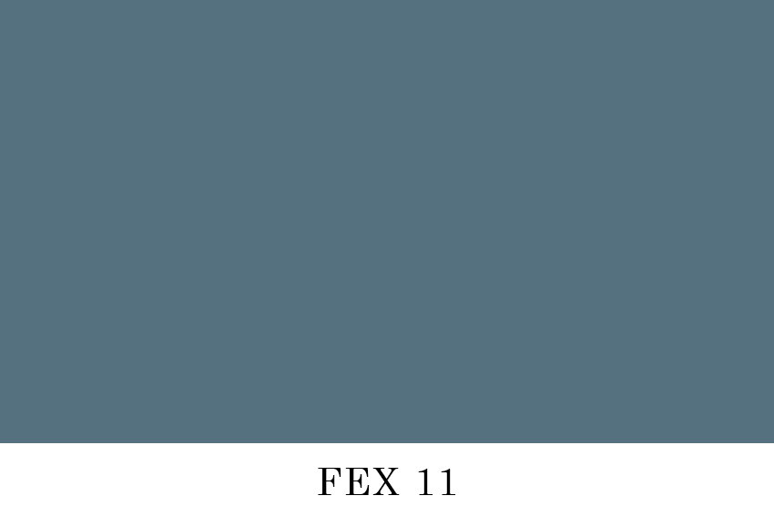 FEX 11.jpg