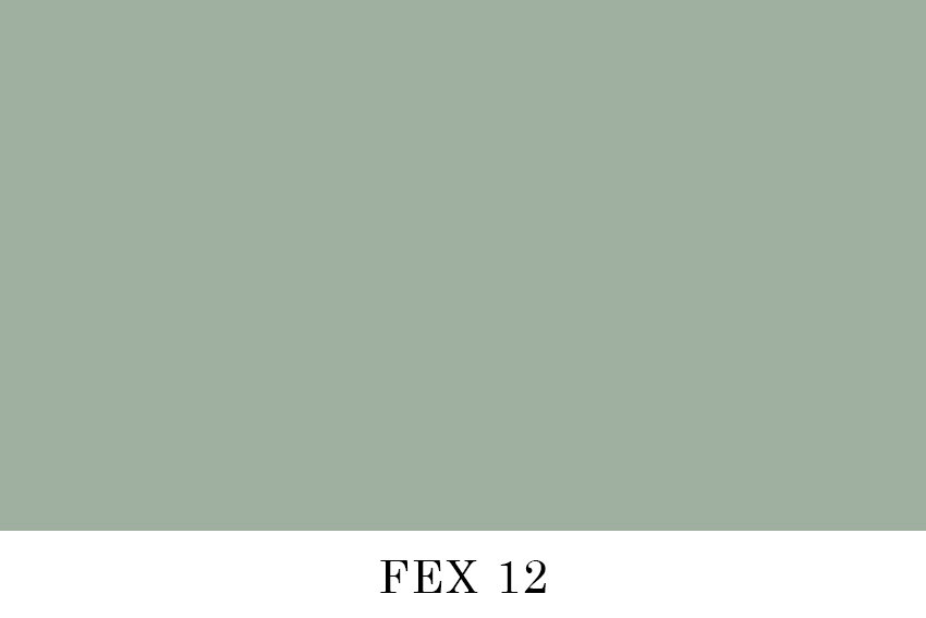FEX 12.jpg