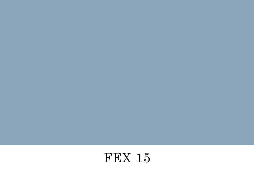 FEX 15.jpg