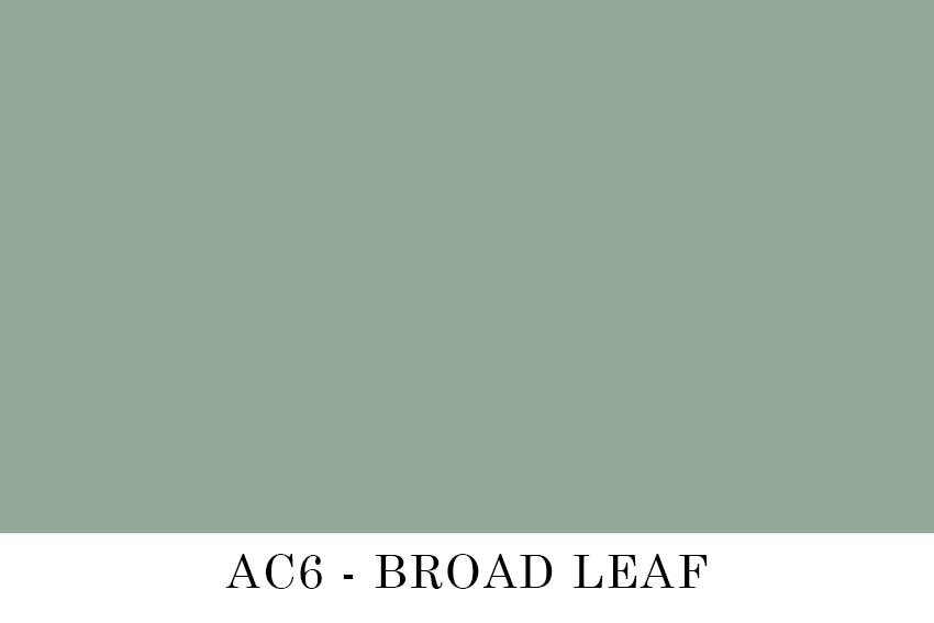 AC6 - BROAD LEAF.jpg