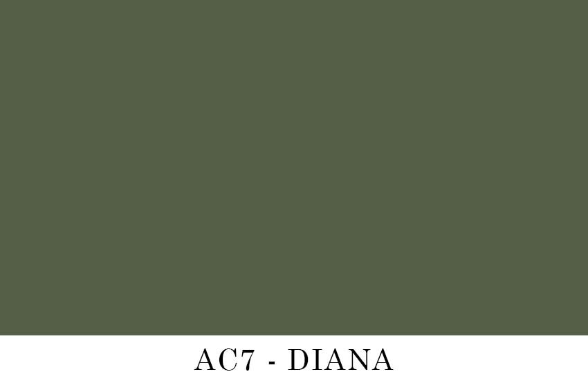 AC7 - DIANA.jpg