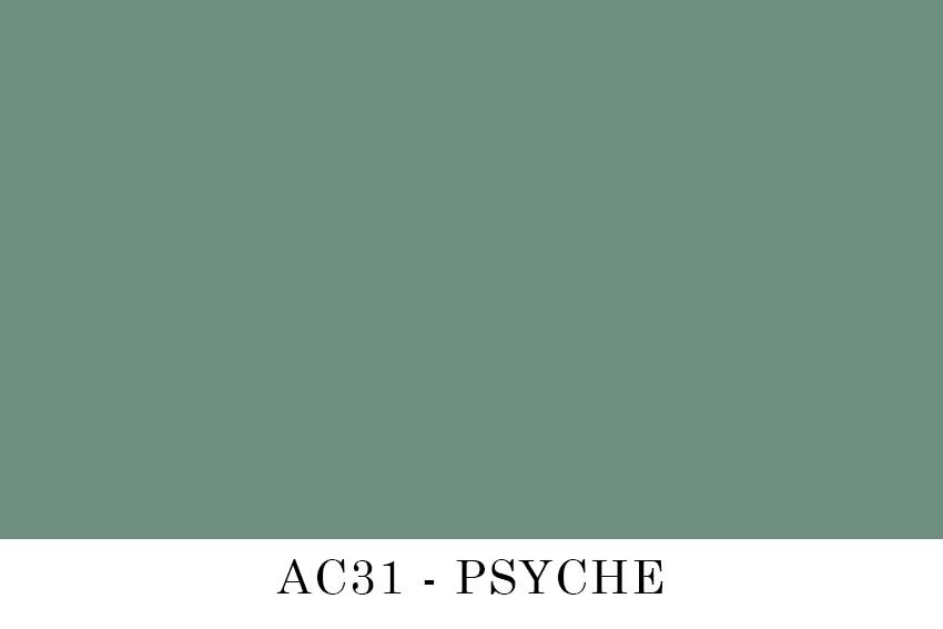 AC31 - PSYCHE.jpg