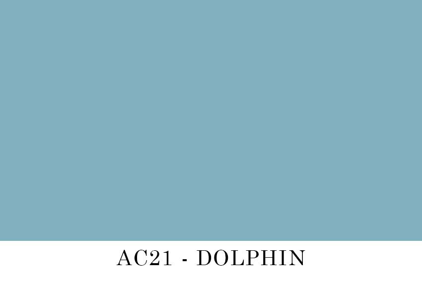 AC21 - DOLPHIN.jpg