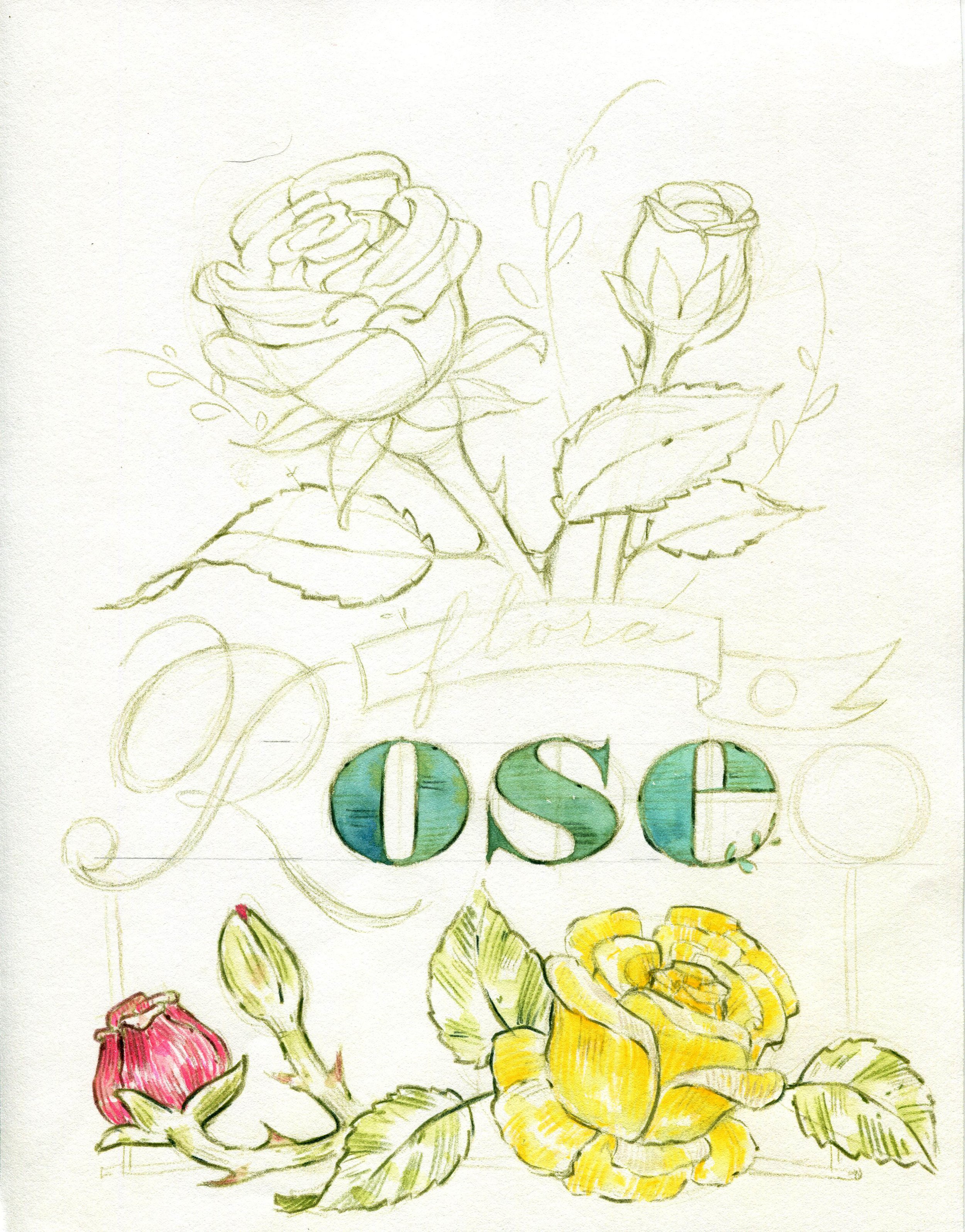 Roses sketch.jpg