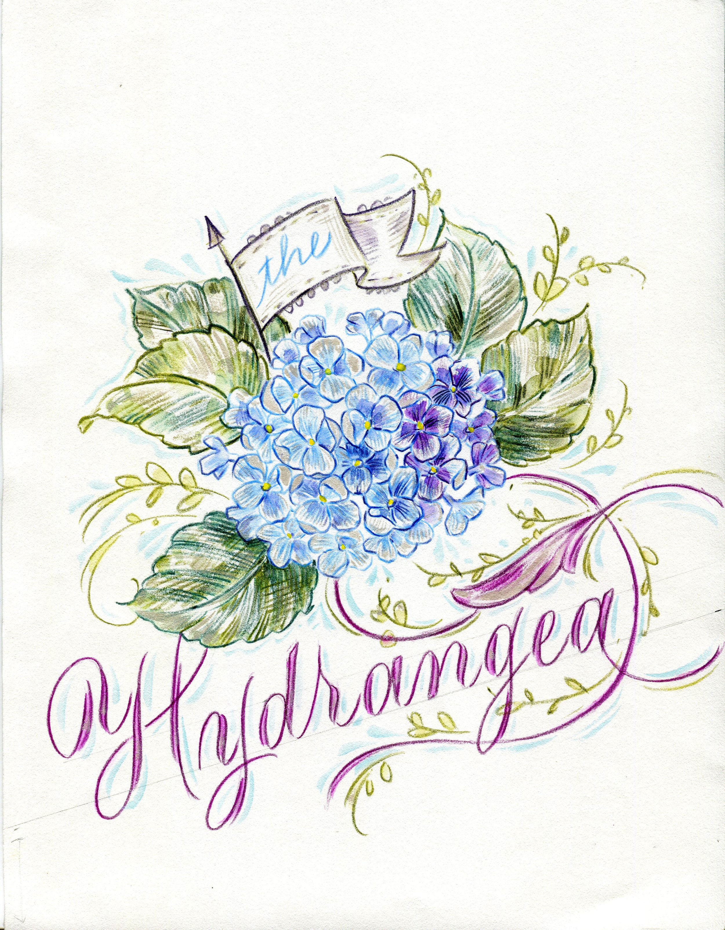 Hydrangea1.jpg