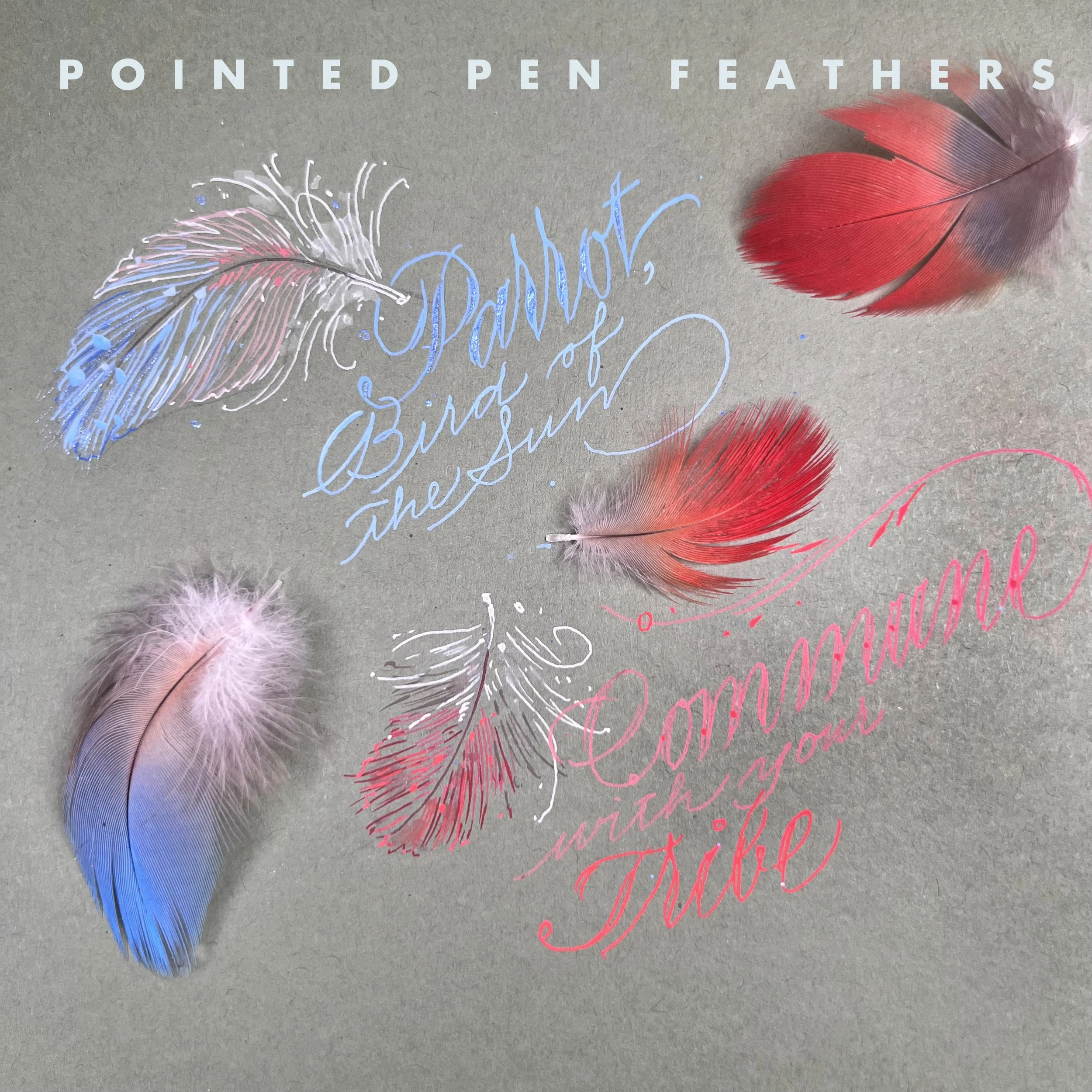 Pointed Pen Feathers