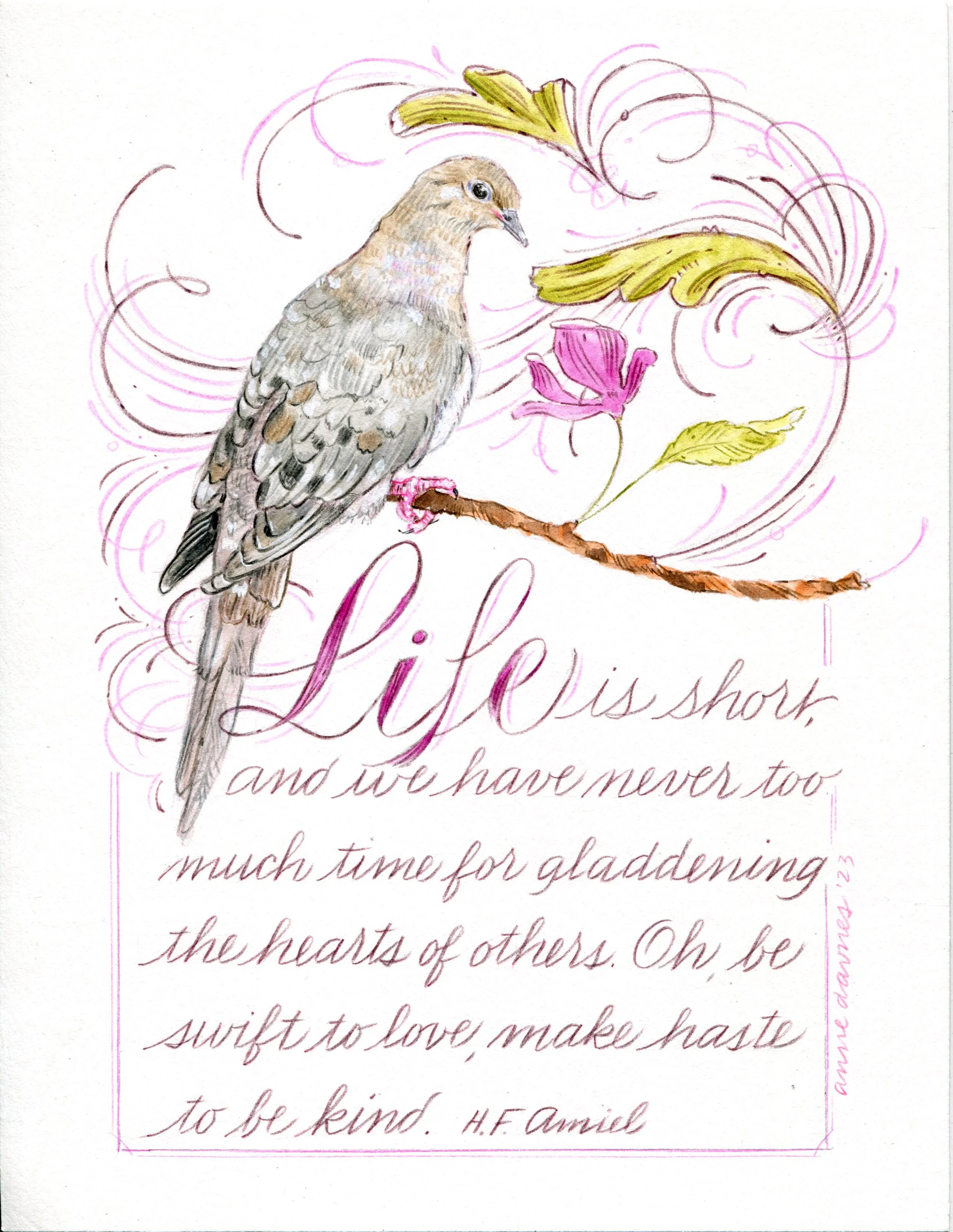 Mourning Dove Final.jpg