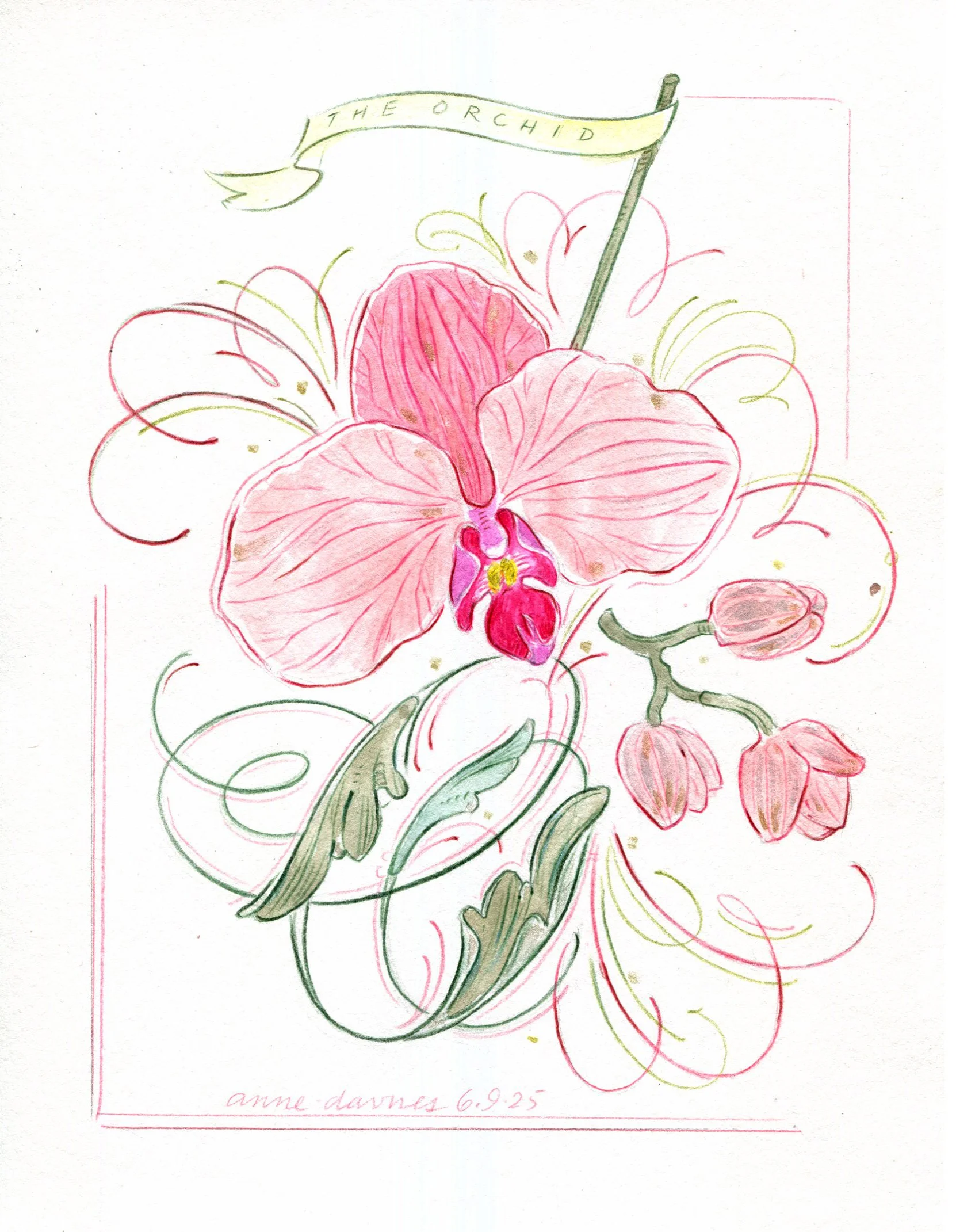 orchid final mon pm 2025 final.jpg