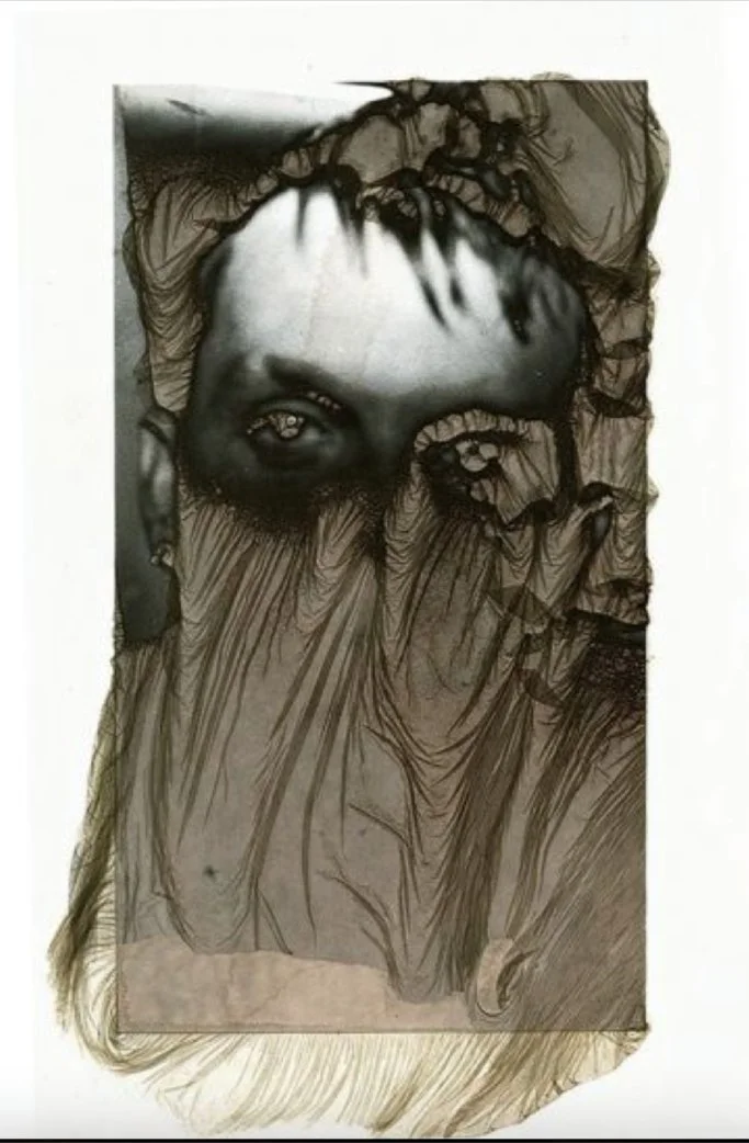 Brittonie Fletcher - The Veil