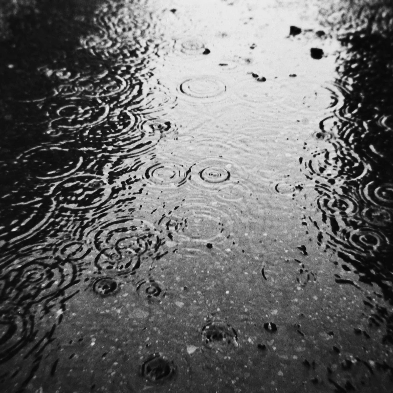Jean Garcia-Gathright - Rain