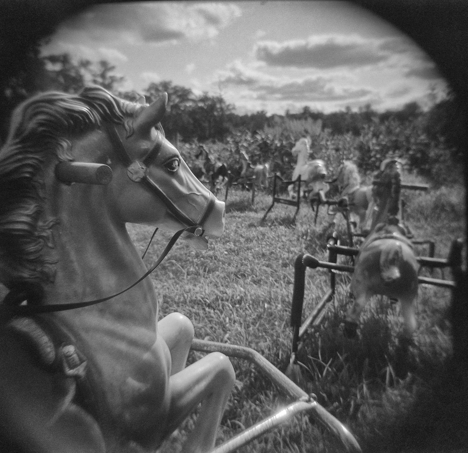 Silke Hase - Ponyhenge 1