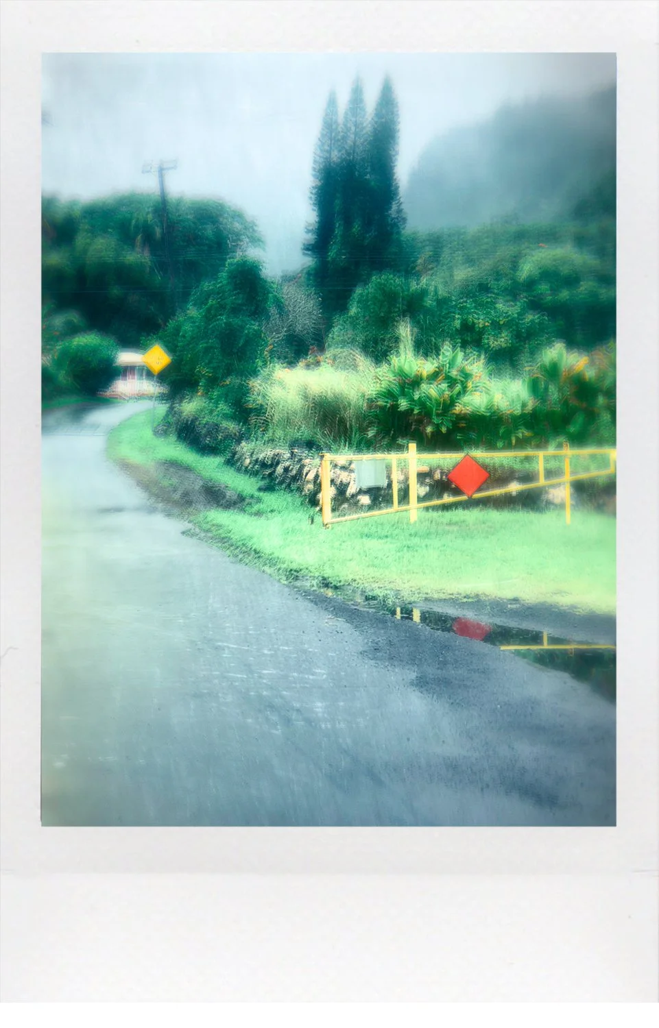Diana Nicolette Jeon - Laupahoehoe Tsunami Memorial Entry Gate