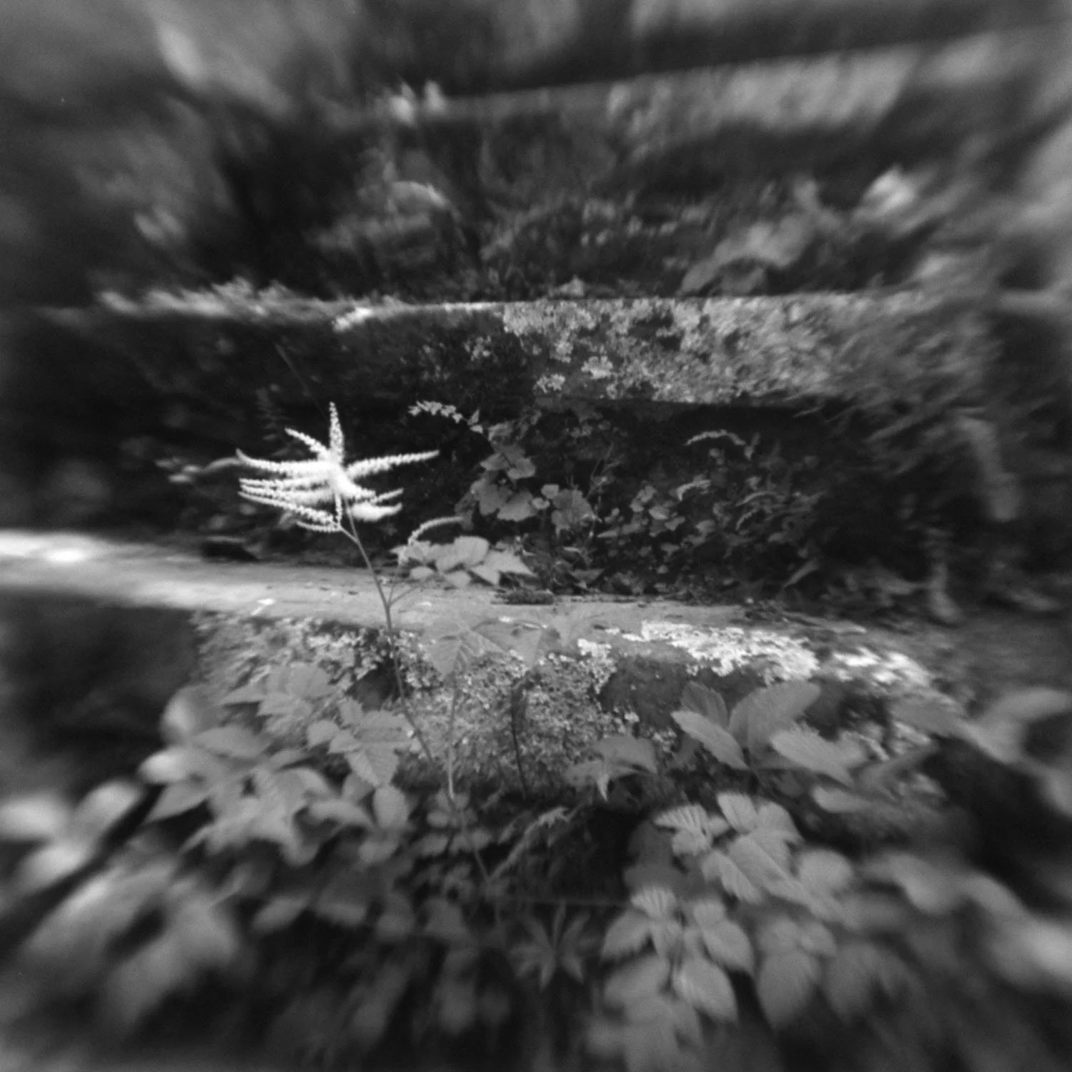 Ron O'Connor - Three Steps
