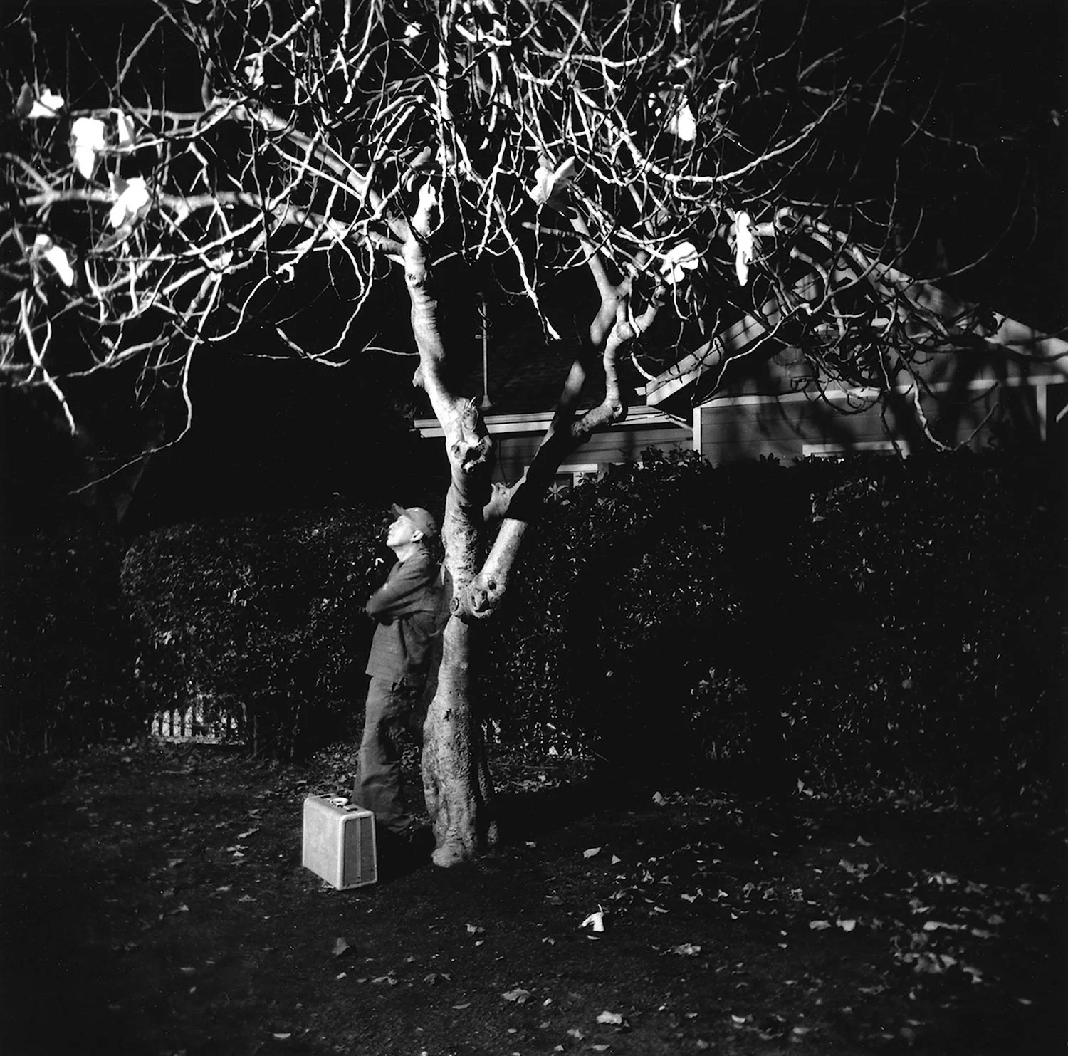 Steven Taddei - The Watchman