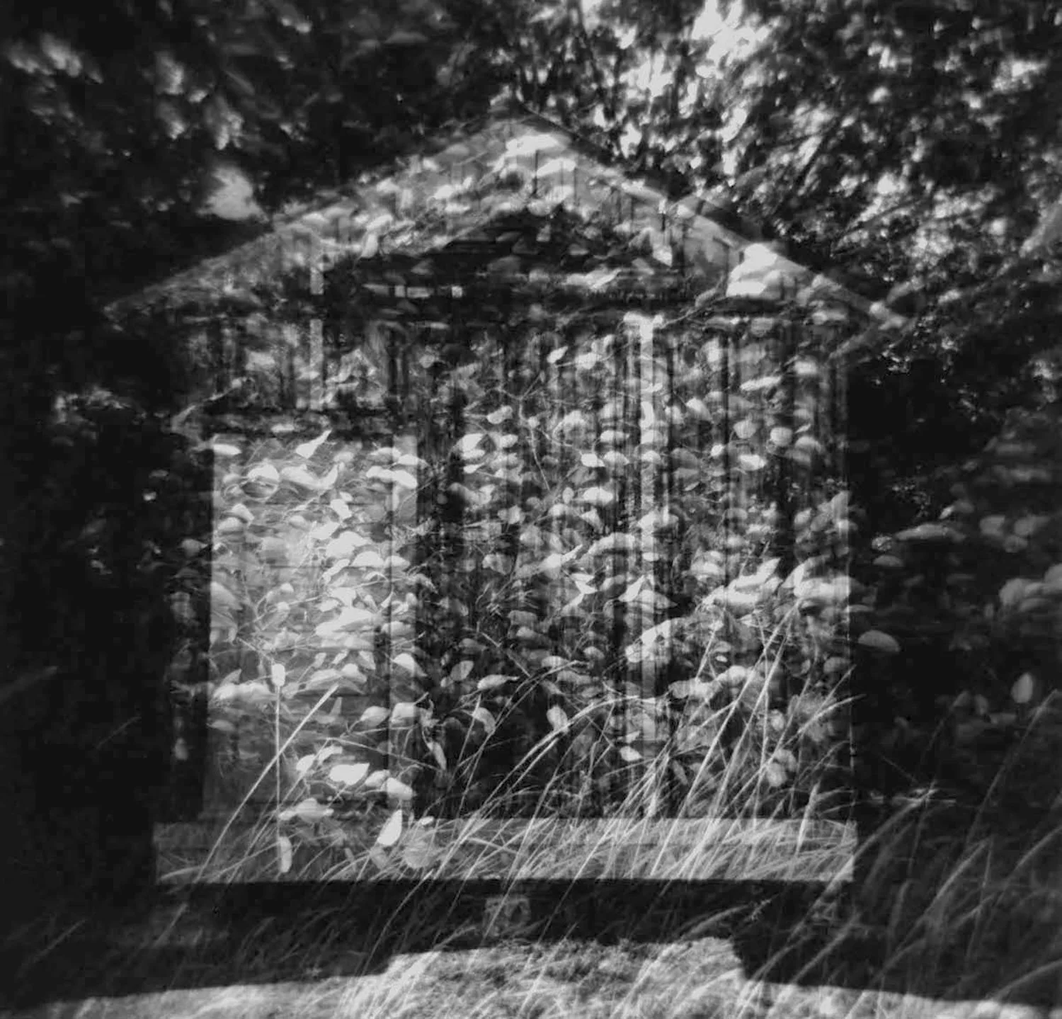 Steven Taddei - Lost and Found