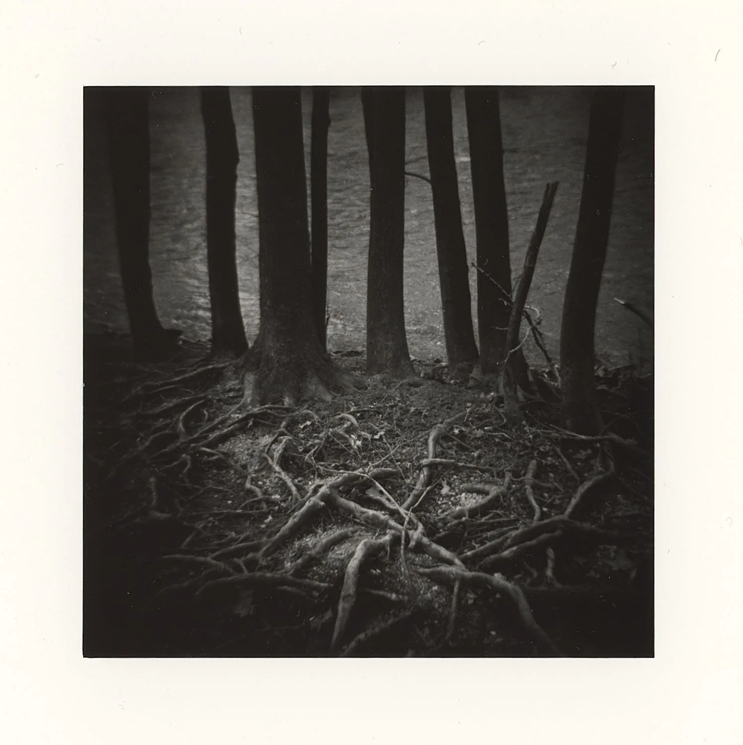 Tom Trusty - Darby Creek #1