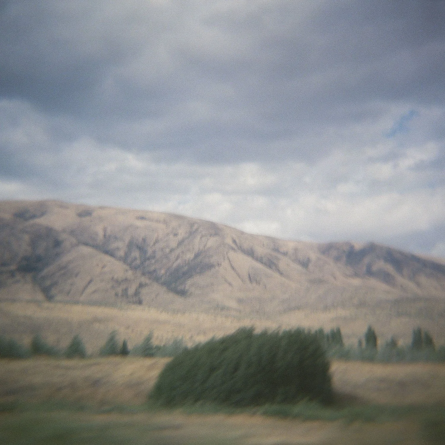 Jennifer Williamson - Summer Sky