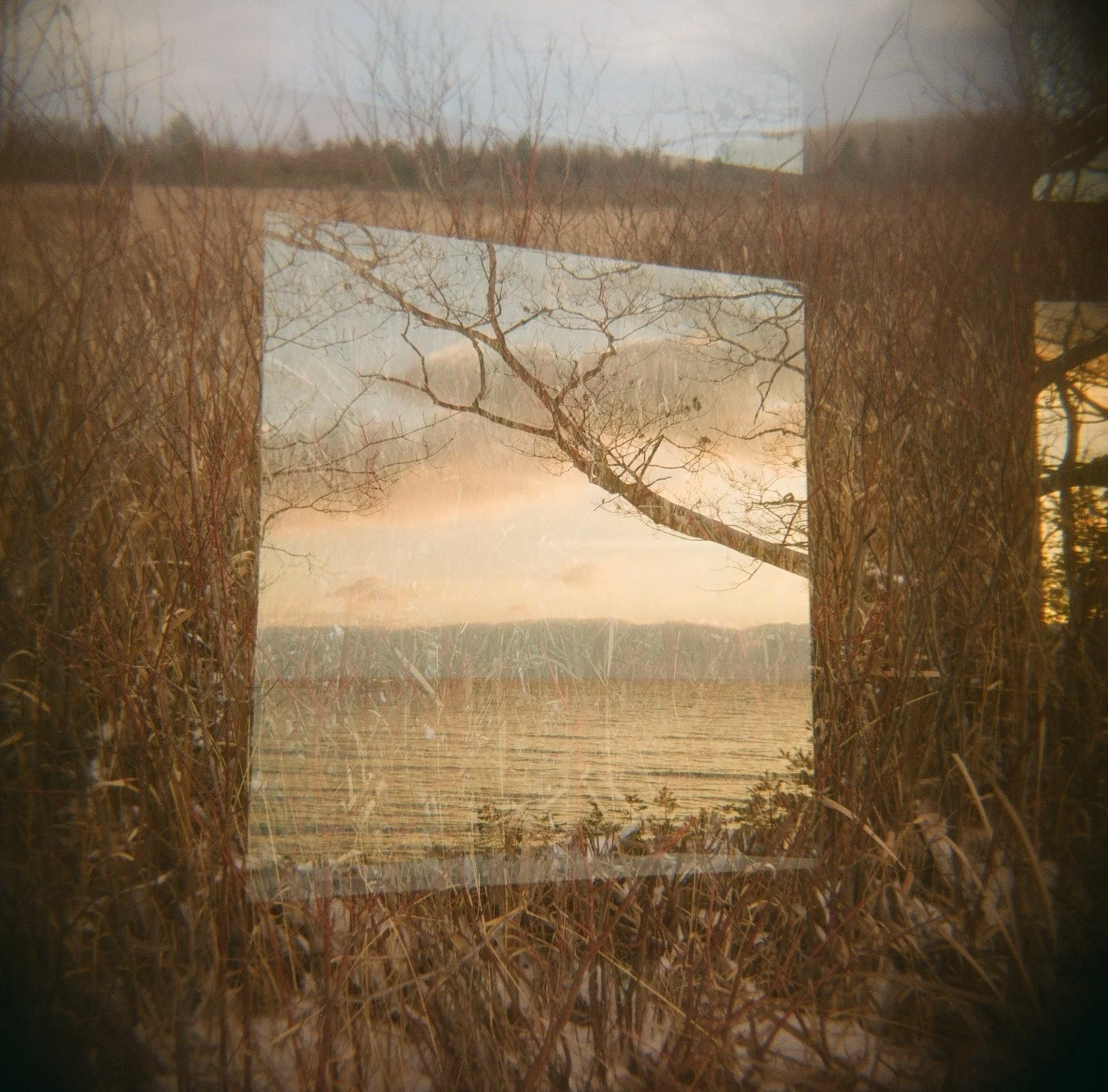 Rachel Winslow - Enter Here