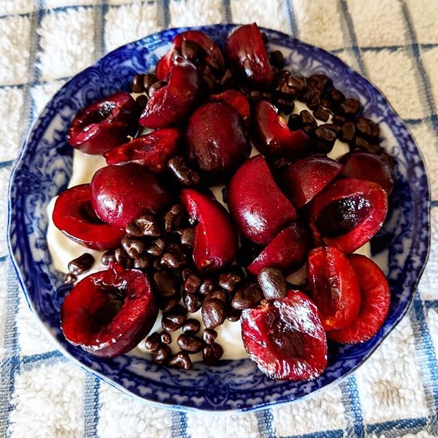 Cherries over yogurt with cocoa nibs.  #bowlfullofcherries #yogurtsnack #fruitandchocolate
