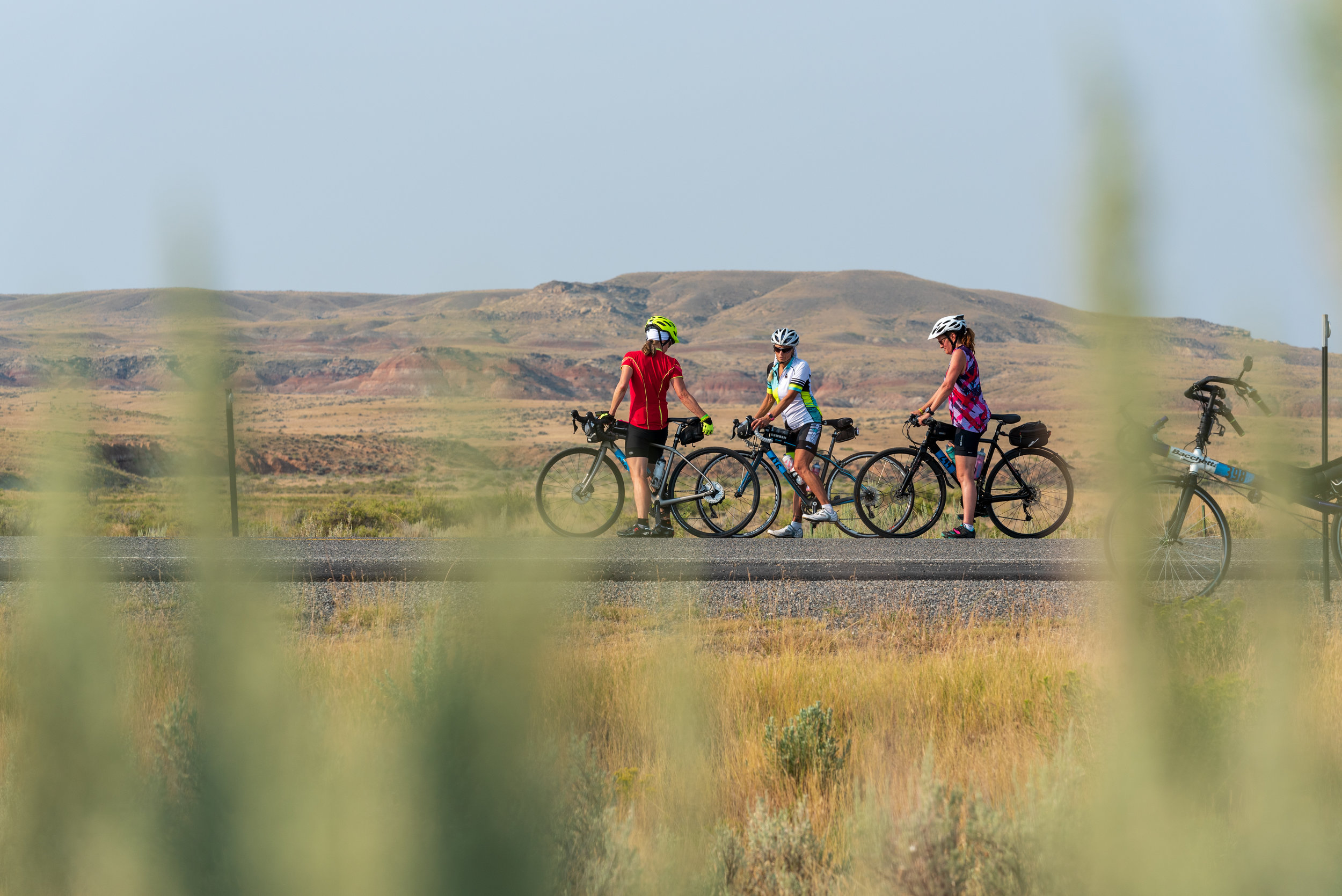 Cyclists next to the McCullough Peaks Wild Herd Management Area. hosted by Friends Of A Legacy. Photo by Nick Olson.