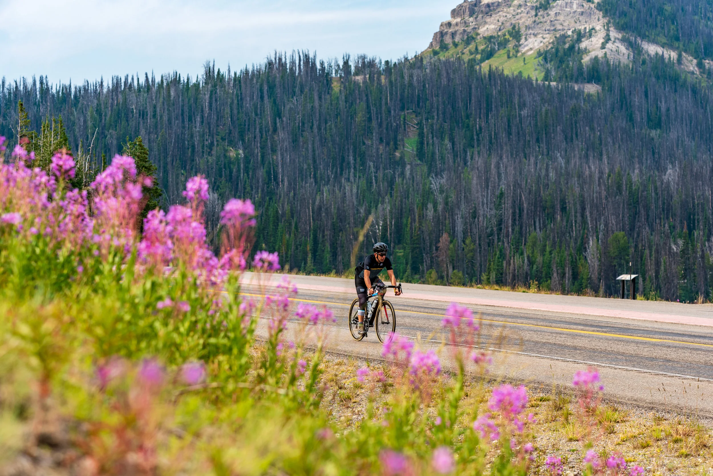 NOcreative_Togwotee Pass-48.jpg