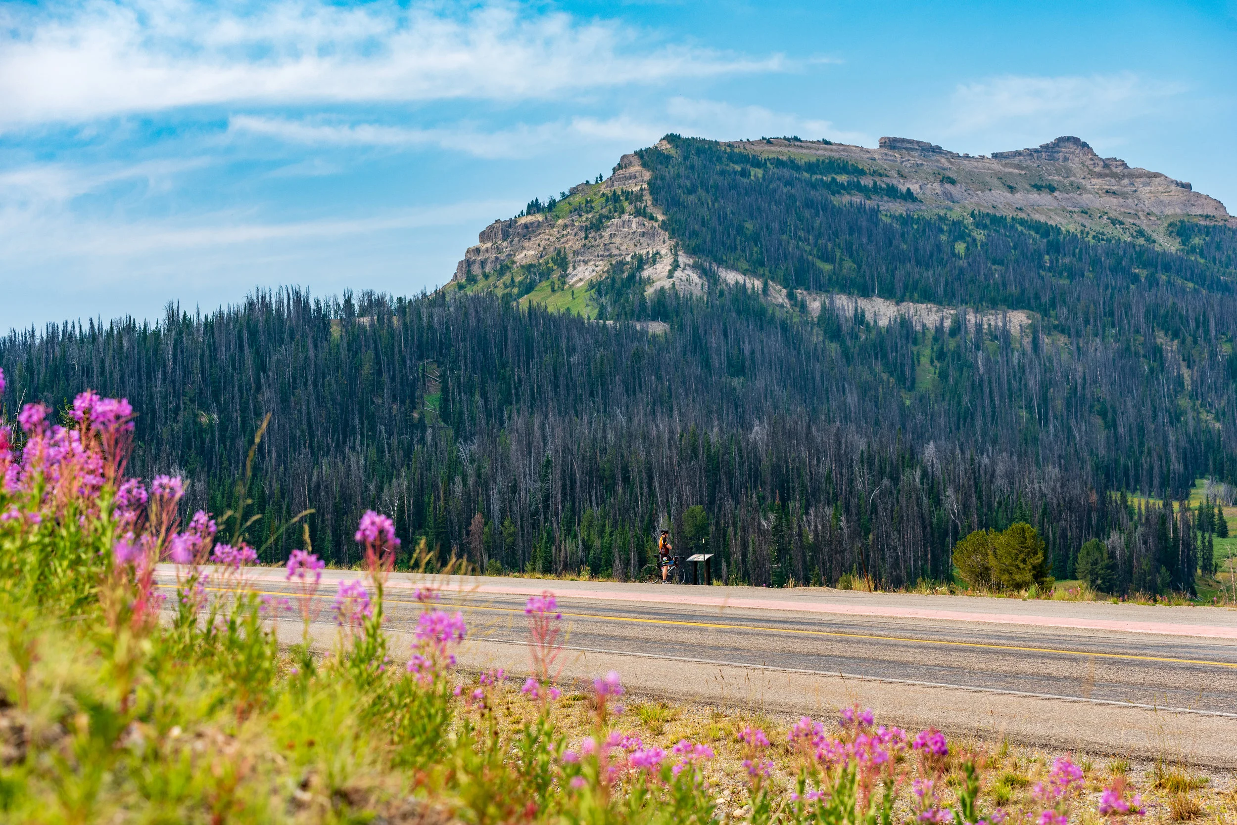 NOcreative_Togwotee Pass-51.jpg