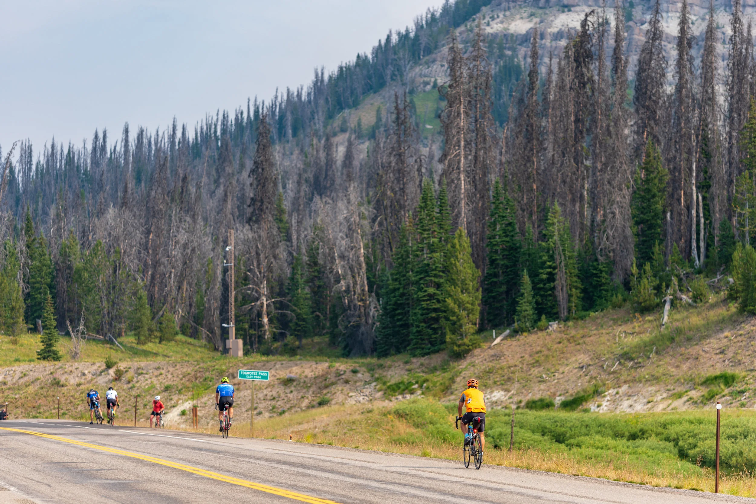 NOcreative_Togwotee Pass-66.jpg