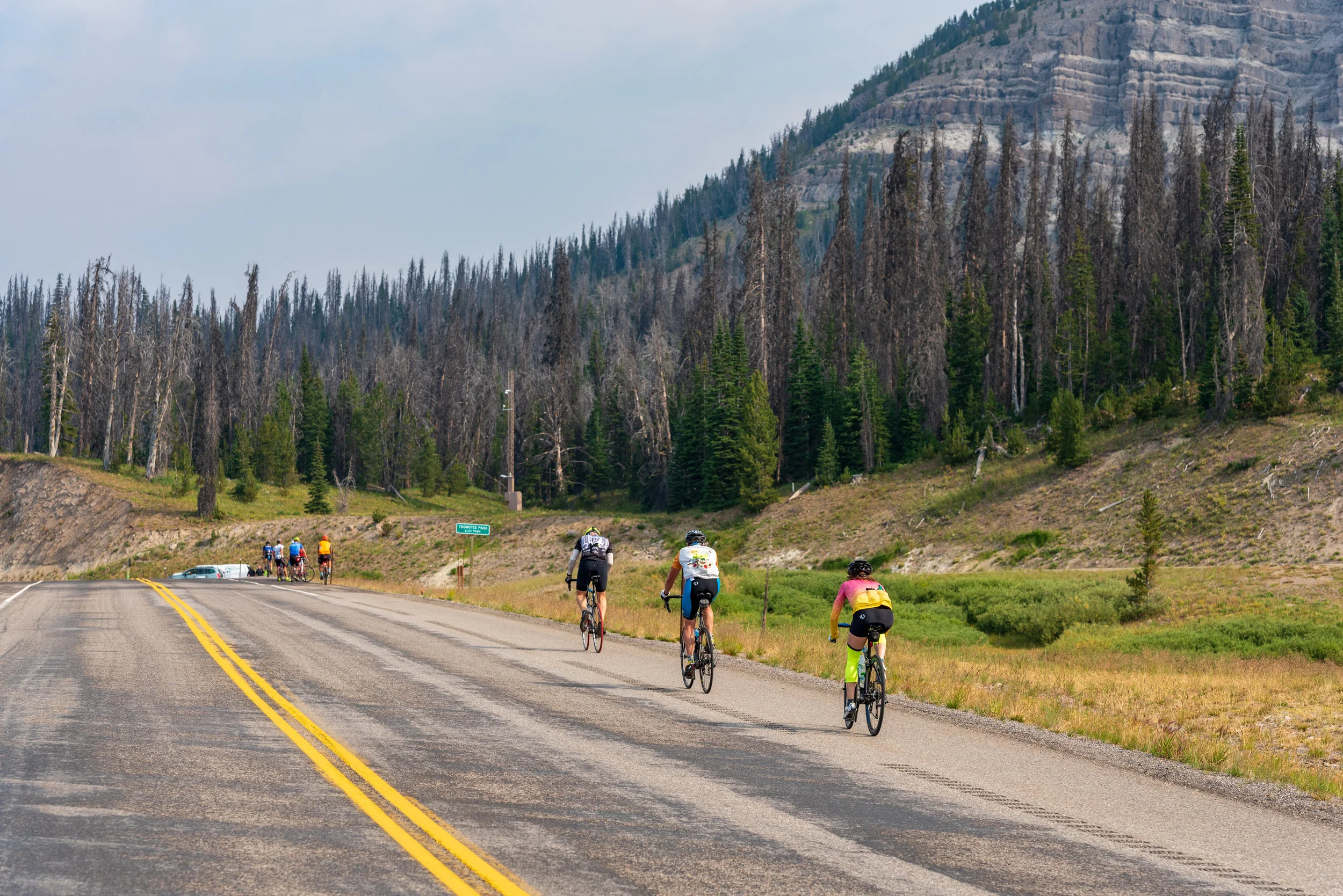NOcreative_Togwotee Pass-67.jpg