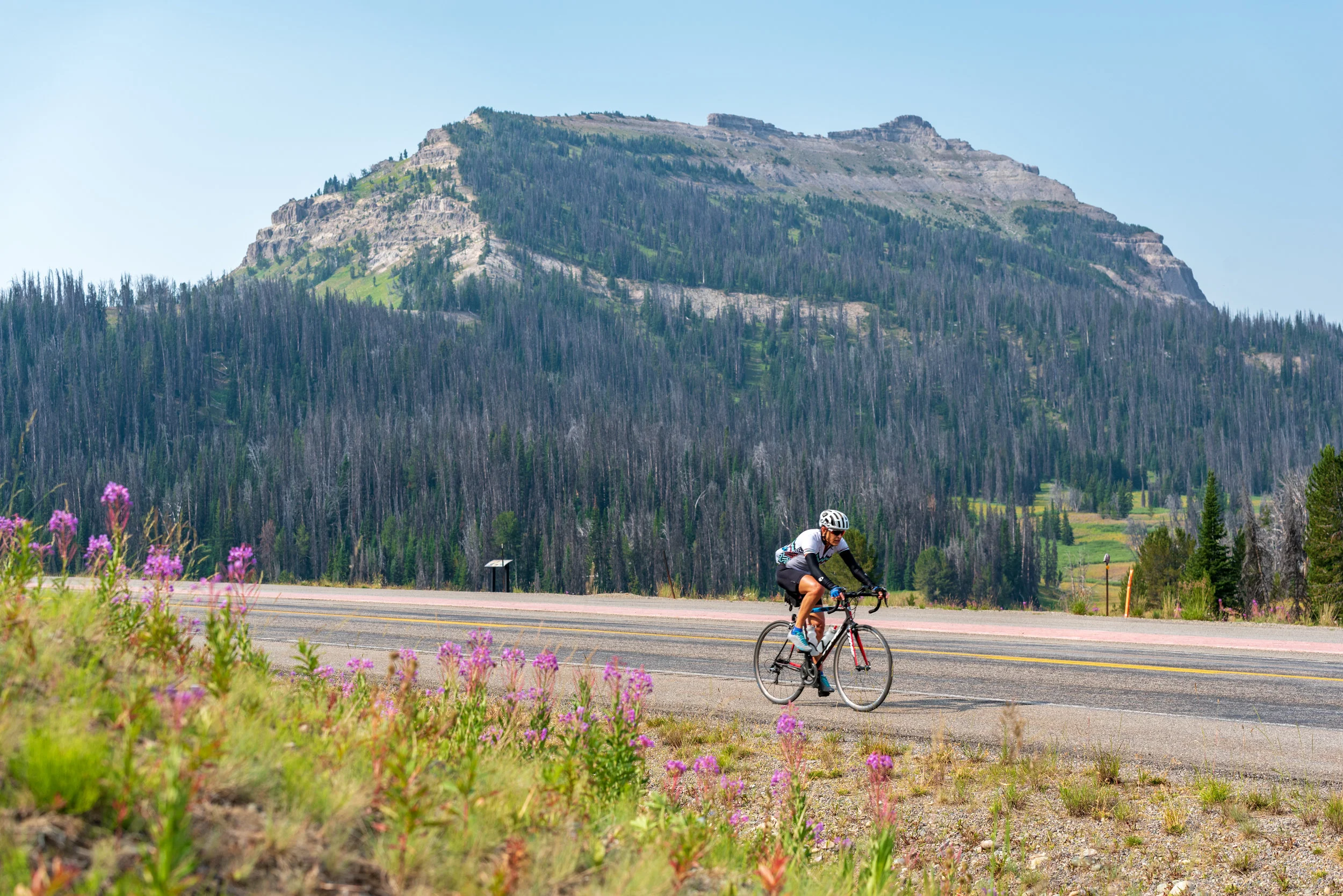NOcreative_Togwotee Pass-96.jpg