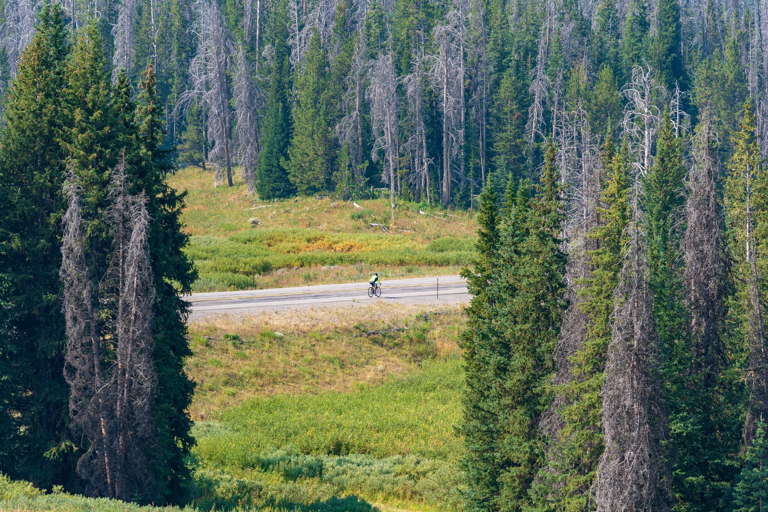 NOcreative_Togwotee Pass-132.jpg