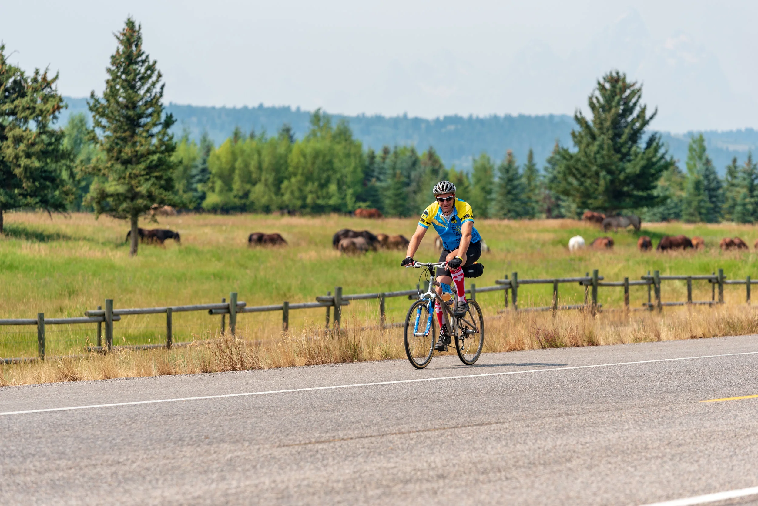 NOcreative_Togwotee Pass-174.jpg