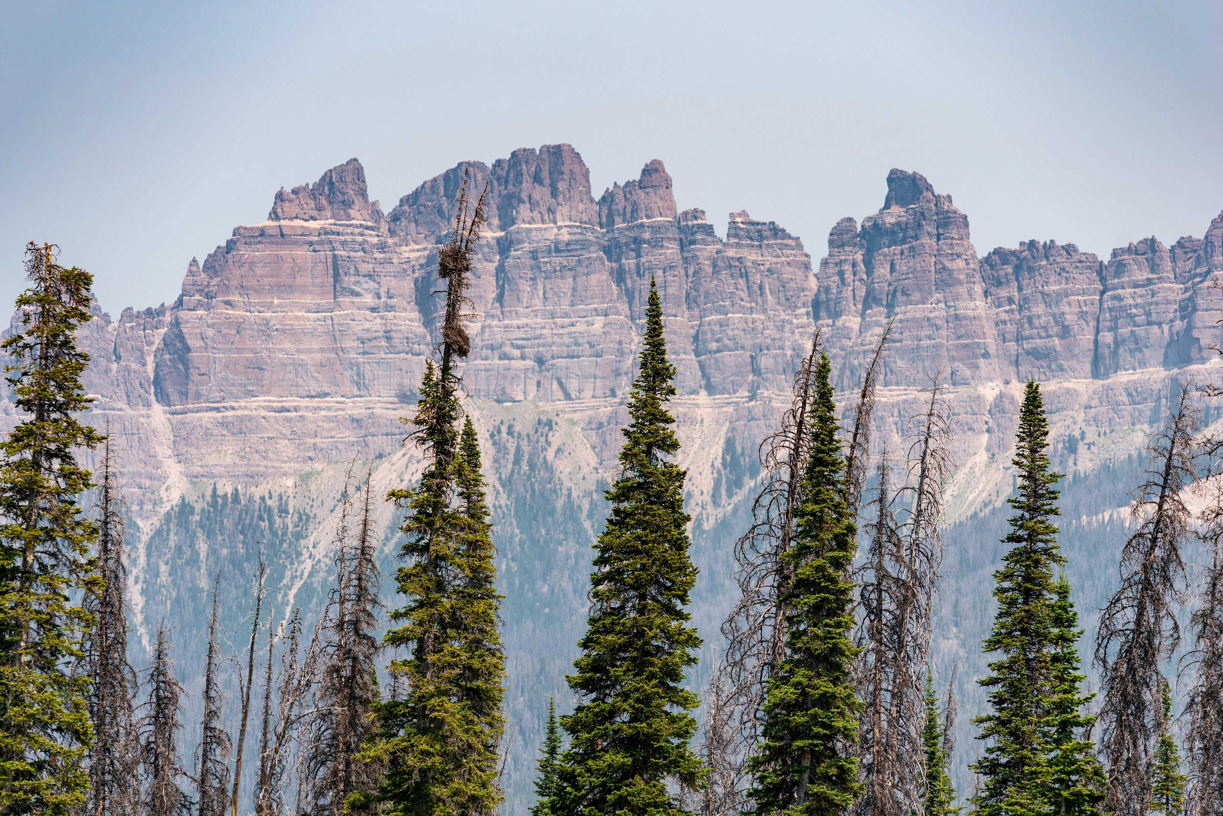 NOcreative_Togwotee Pass-207.jpg