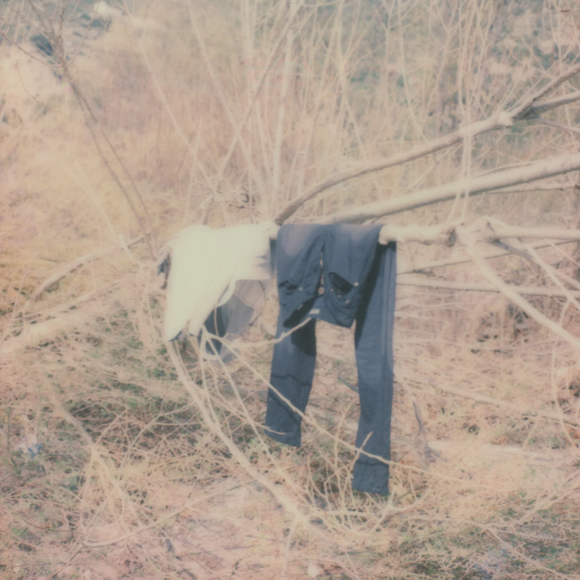 BOD002_033.jpg