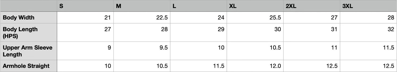 OVERSIZED SS TEE SPEC.jpg