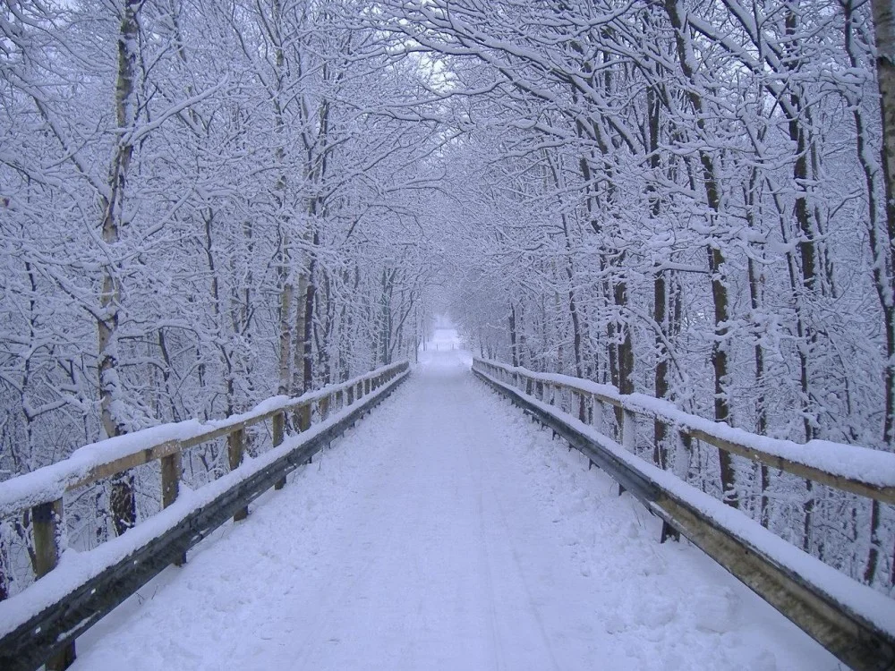 Welcoming Winter