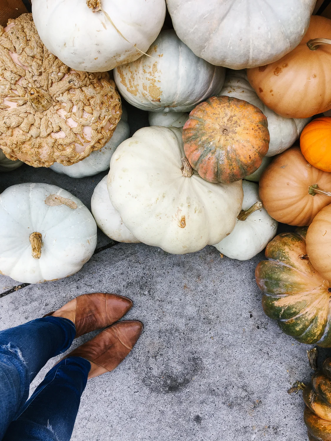 Pumpkins at Guido's in Pittsfield.