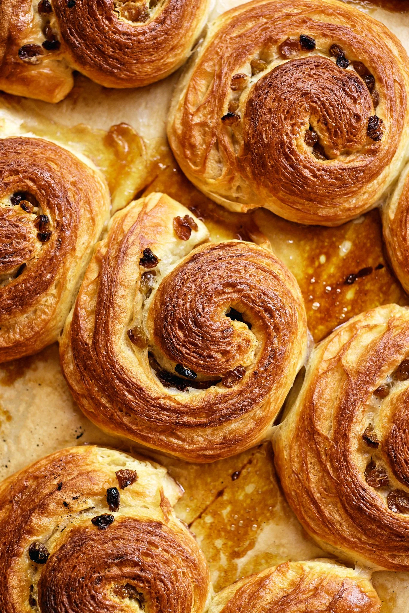 Zu Bakery Portland Maine2100116.jpg