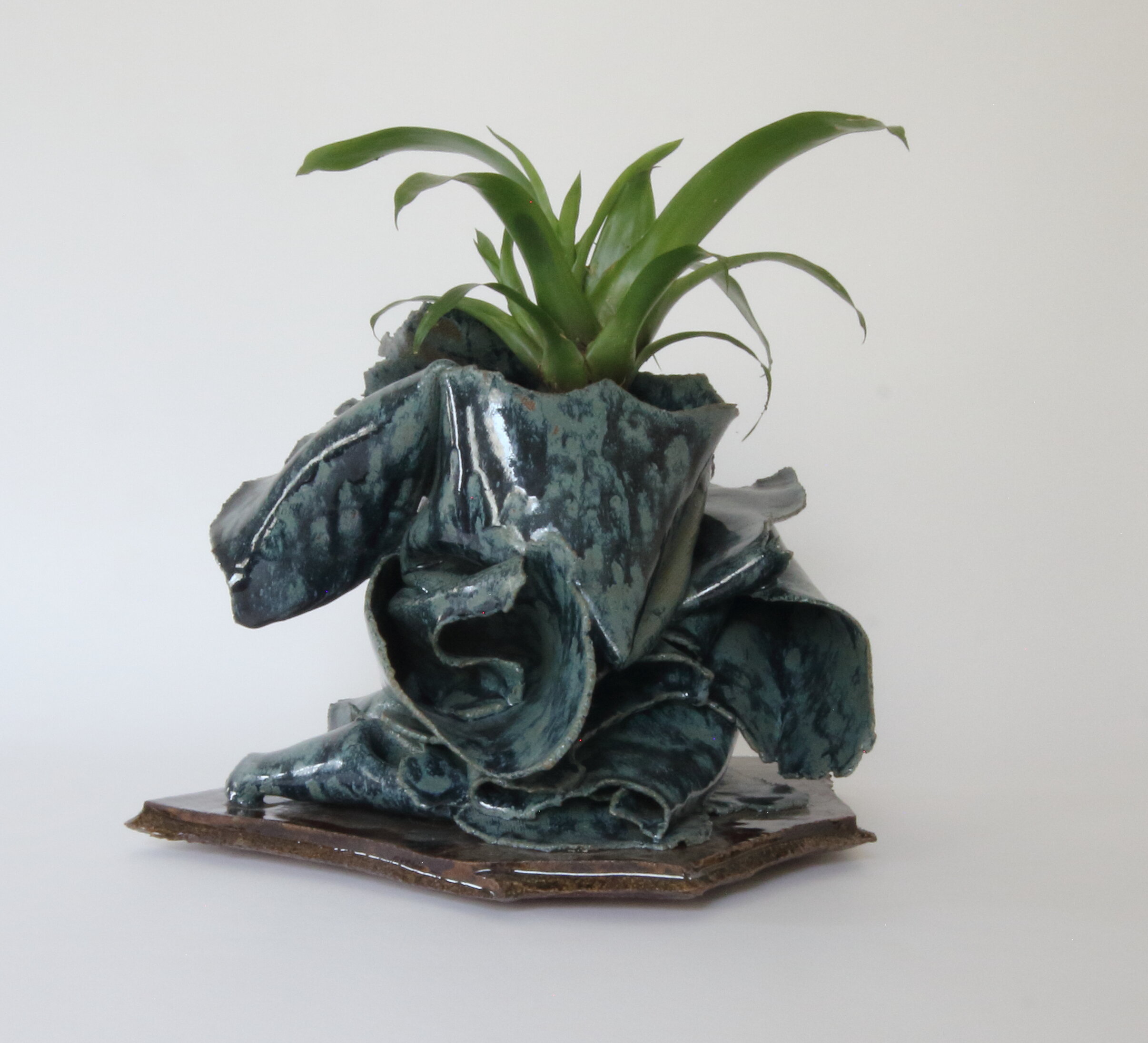bromeliad planter00000003.jpg