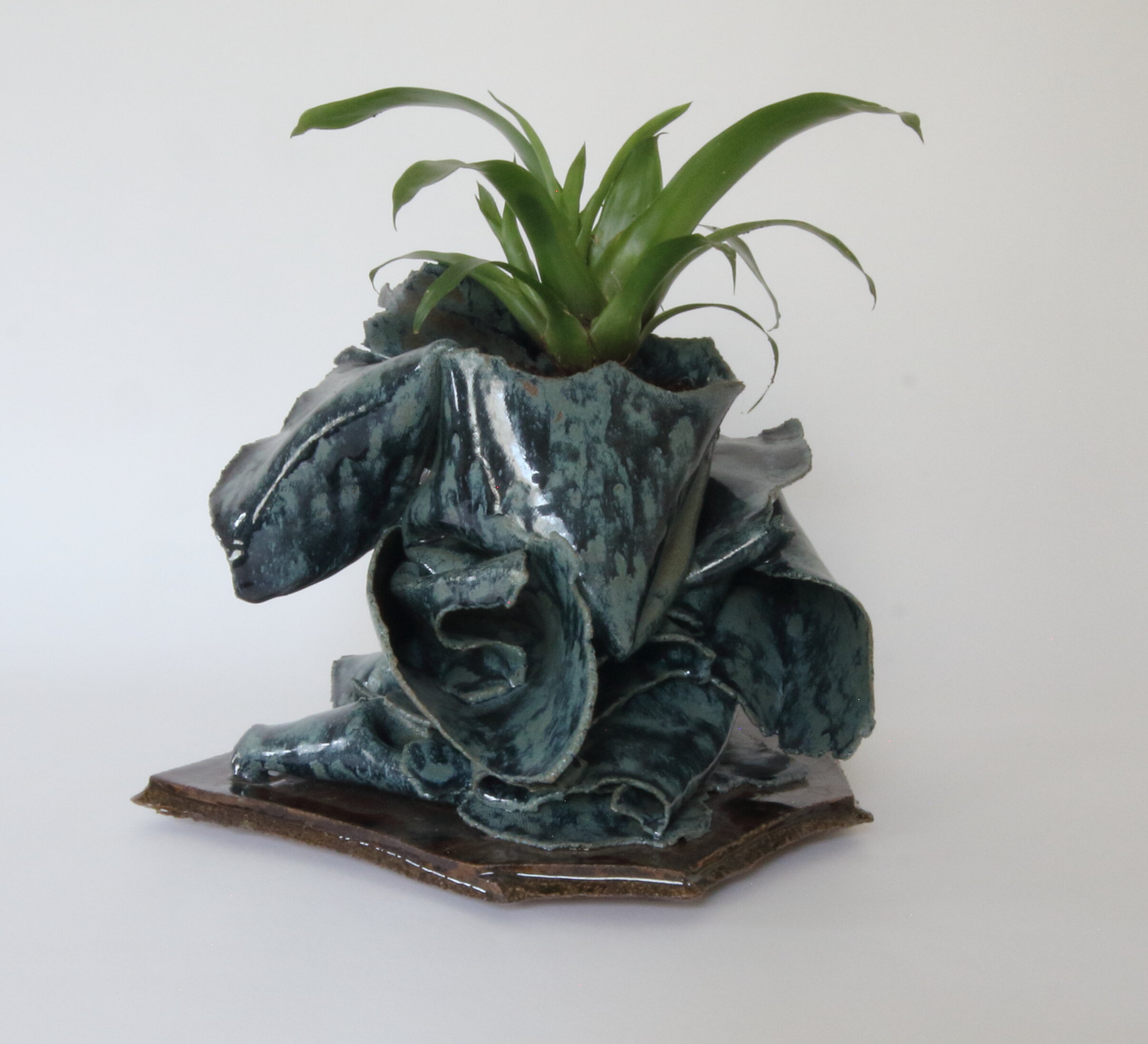 bromeliad planter00000004.jpg