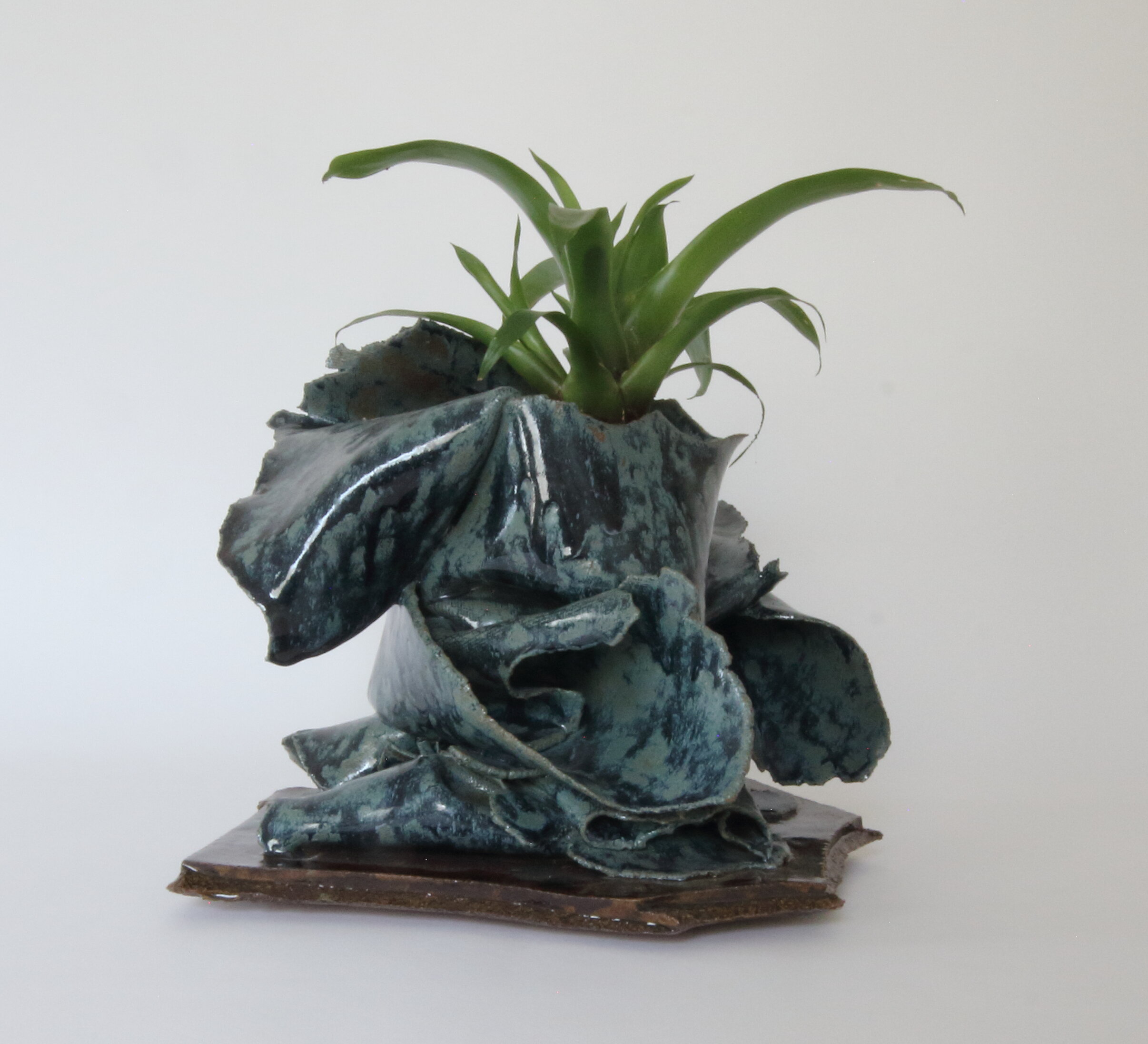 bromeliad planter00000010.jpg