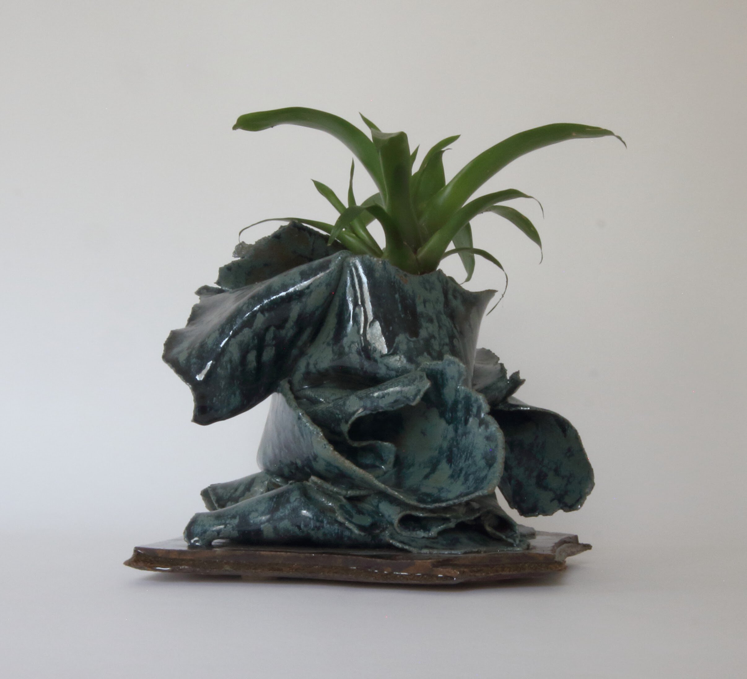 bromeliad planter00000012.jpg