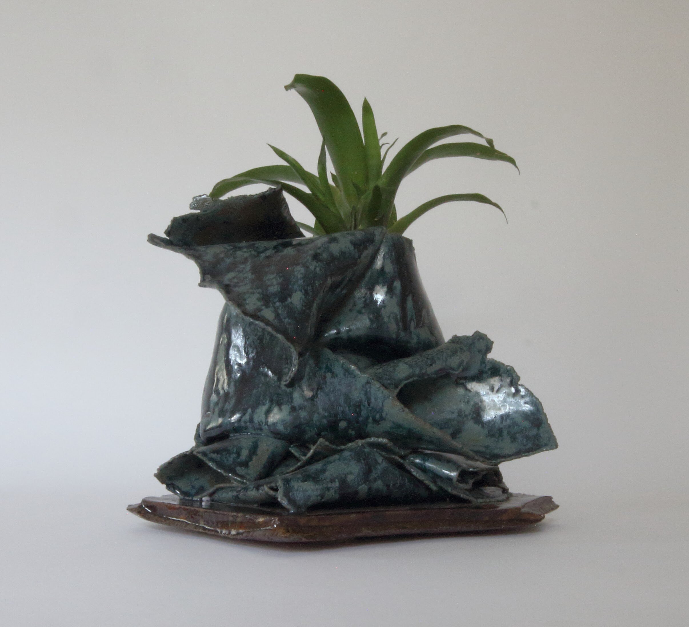 bromeliad planter00000013.jpg